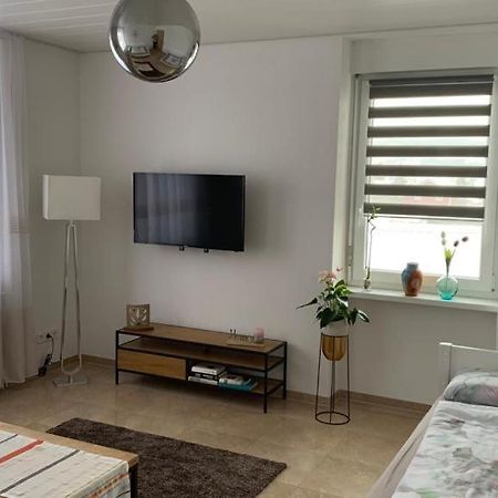 גרנצאך-ווילן Grenznahe Ferienwohnung Mit 4 Schlafzimmern מראה חיצוני תמונה