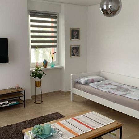 גרנצאך-ווילן Grenznahe Ferienwohnung Mit 4 Schlafzimmern מראה חיצוני תמונה