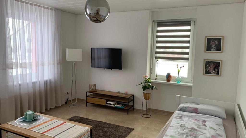 גרנצאך-ווילן Grenznahe Ferienwohnung Mit 4 Schlafzimmern מראה חיצוני תמונה
