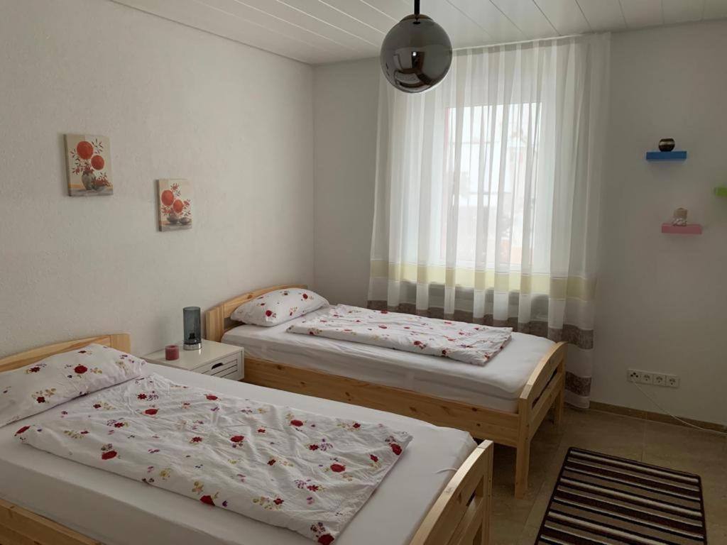 גרנצאך-ווילן Grenznahe Ferienwohnung Mit 4 Schlafzimmern מראה חיצוני תמונה
