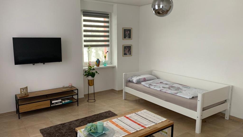 גרנצאך-ווילן Grenznahe Ferienwohnung Mit 4 Schlafzimmern מראה חיצוני תמונה